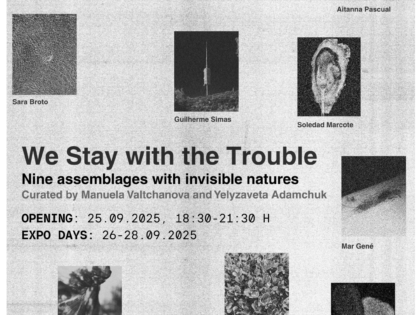 We Stay With the Trouble – Nine assemblages with invisible natures