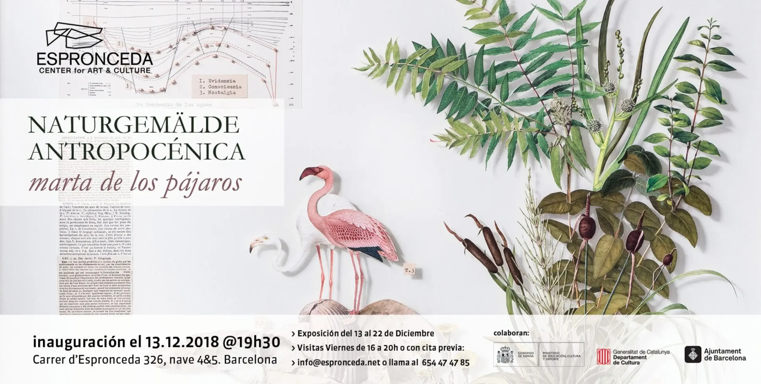 Banner of the exhibition Anthropocenic Naturgemälde by Marta de los Pájaros at Espronceda, center of art and culture in Barcelona, showing a collage-based visual exploration of nature and the Anthropocene.