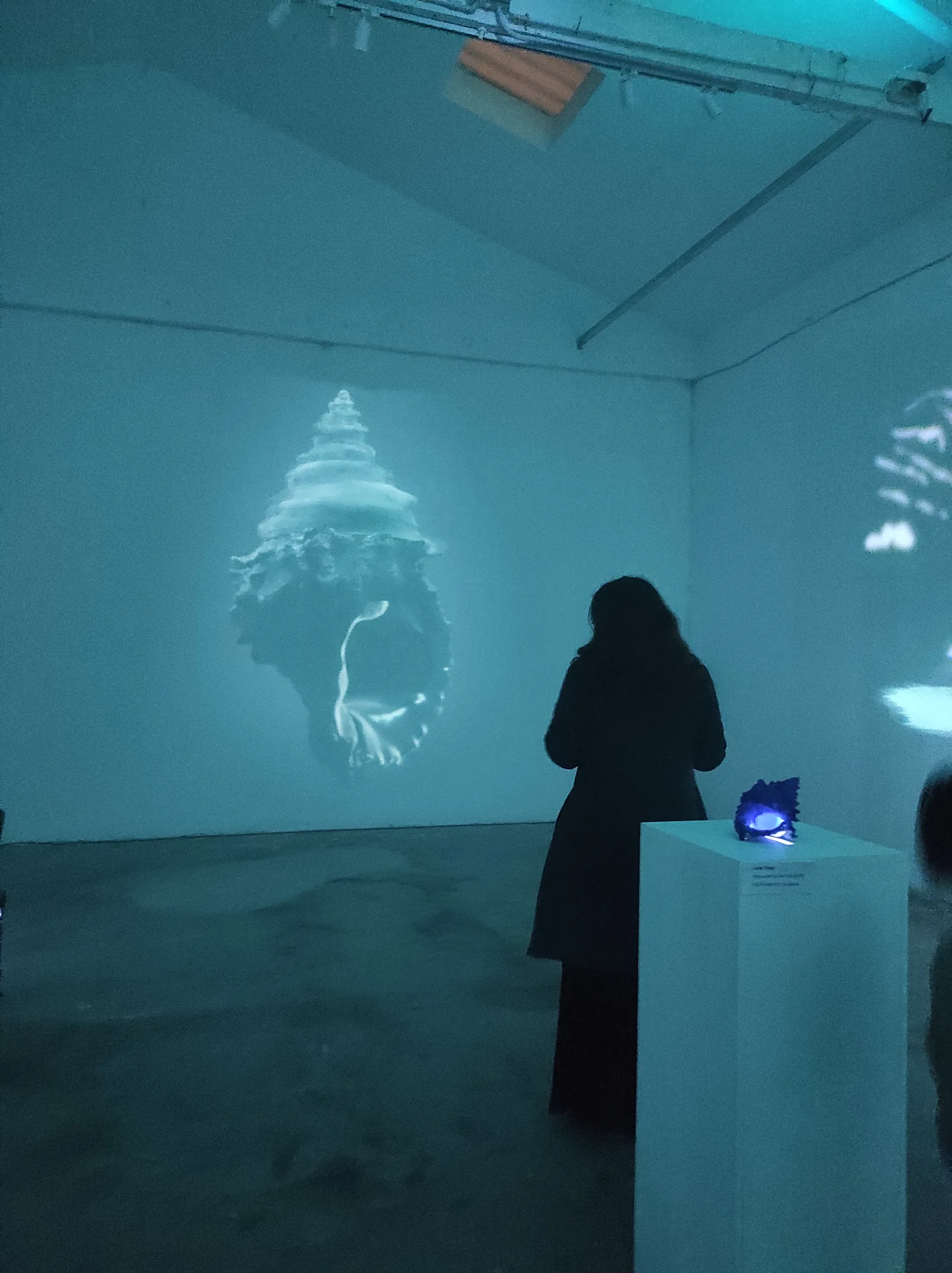 Digital Monuments, de Lena Trapp y Love Antell, en Espronceda