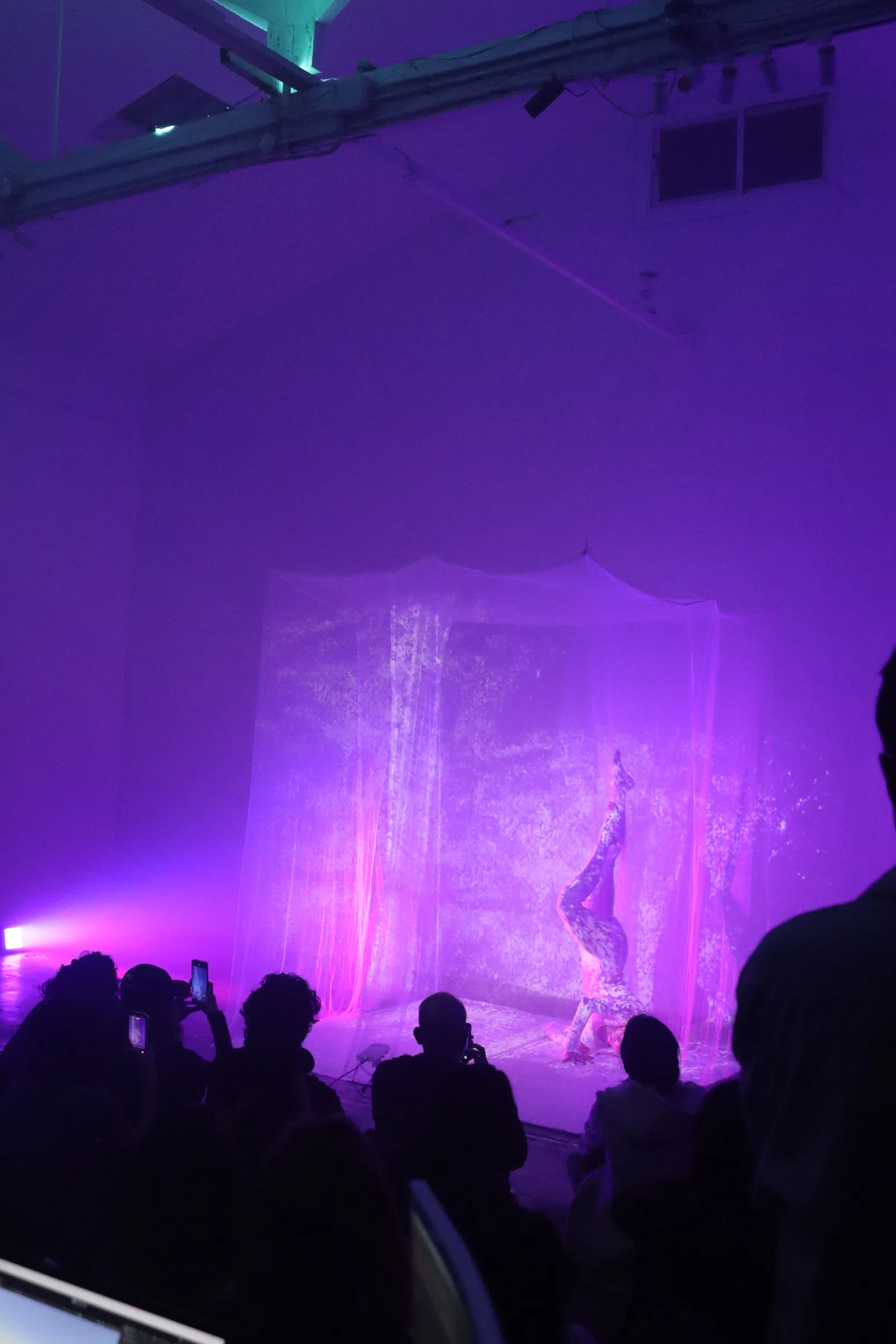 EXUVIA, instalación performativa en Espronceda