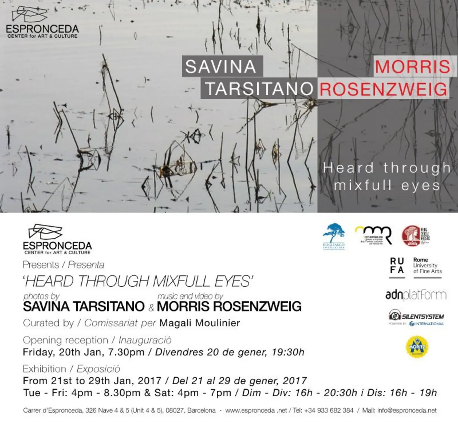 Opening “Heard Through Mixfull Eyes” – Jan 20th