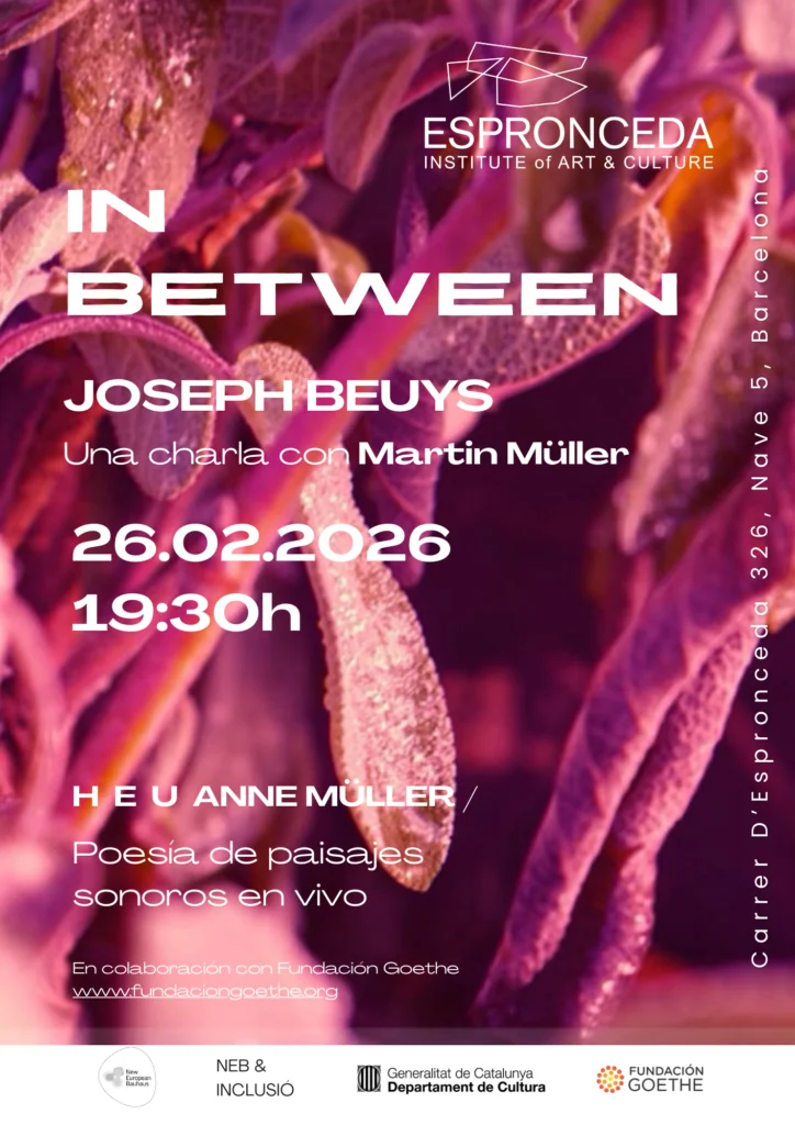 in between joseph beuys a talk with martin muller